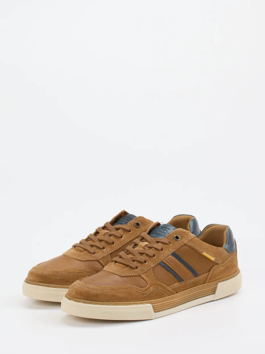 Herren Camel Active – Sneaker aus Leder und Mesh cognac