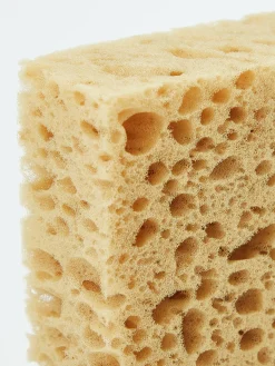 – Pflegeschwamm*Collonil Outlet