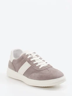 Herren Daniel Kenneth – Sneaker aus Veloursleder taupe