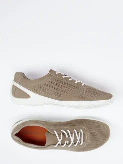 – Sneaker aus Nubukleder in Taupe*Ecco New