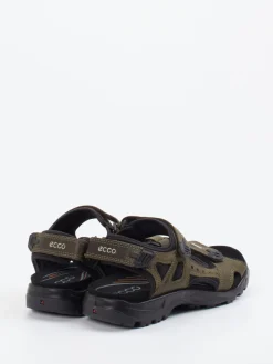 Herren Ecco – Trekkingsandale aus Nubukleder Olivgrün