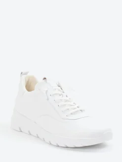 – Sneaker aus Kalbleder*Gabor