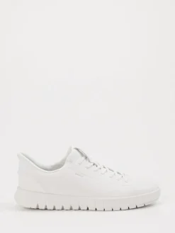 – Sneaker aus Leder in*Geox New