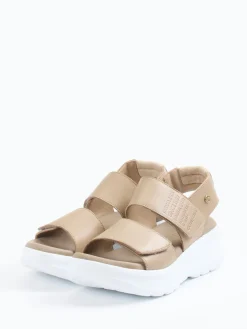 – Plateau-Sandale aus Lammleder Taupe*Panama Jack New