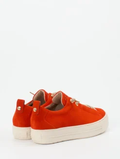 Damen Paul Green – Plateau-Sneaker aus Veloursleder orange