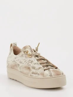 – Sneaker aus Leder mit Schlangenprägung*Paul Green Best