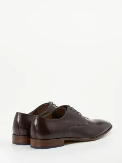 Herren Ralph Harrison Edition – Derby aus Kalbleder Dunkel