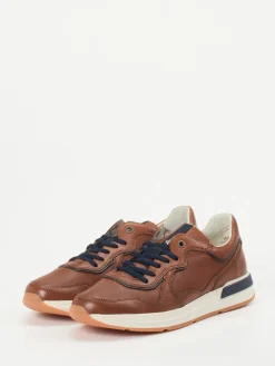 Herren Sioux – Sneaker aus geprägtem Leder in