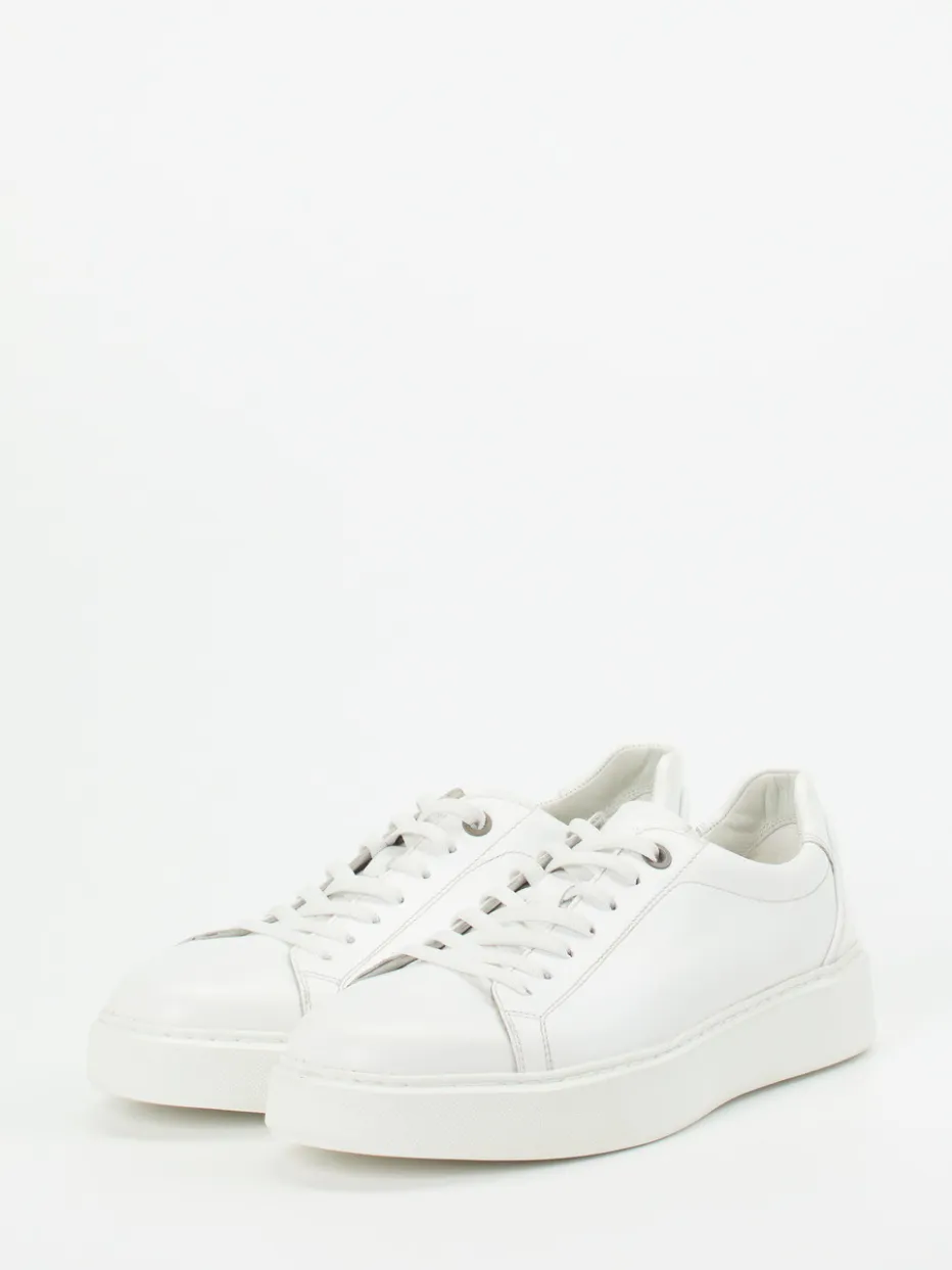 Herren Sioux – Sneaker aus Kalbleder in