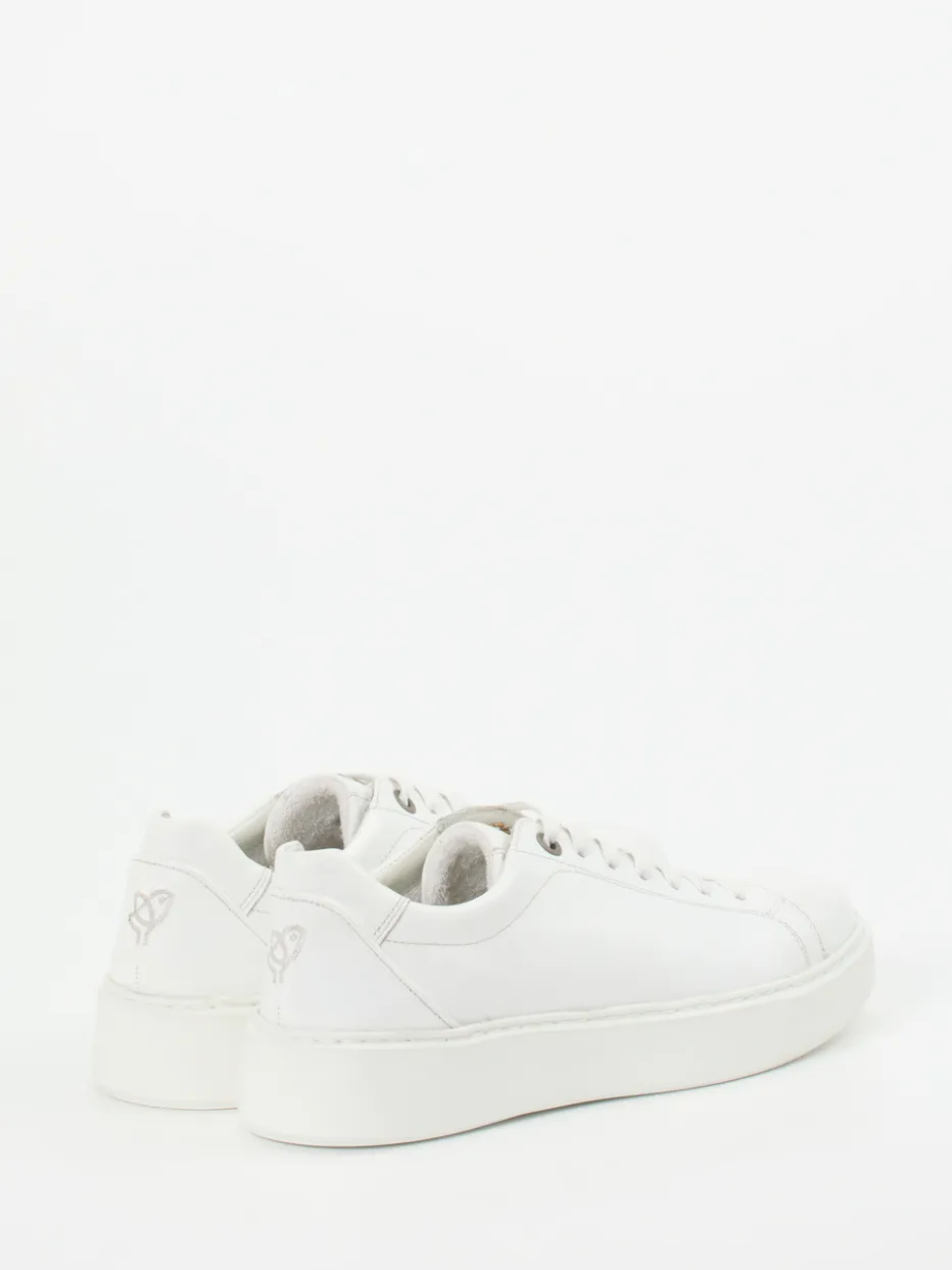 Herren Sioux – Sneaker aus Kalbleder in