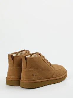 Herren UGG – Schnürboots aus Veloursleder camel